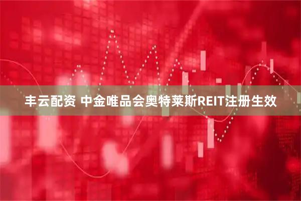 丰云配资 中金唯品会奥特莱斯REIT注册生效