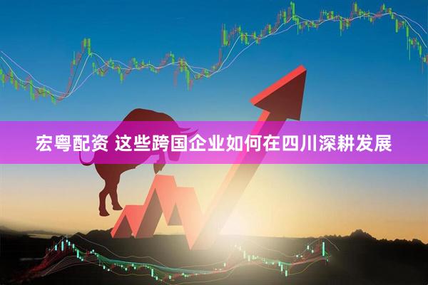 宏粤配资 这些跨国企业如何在四川深耕发展