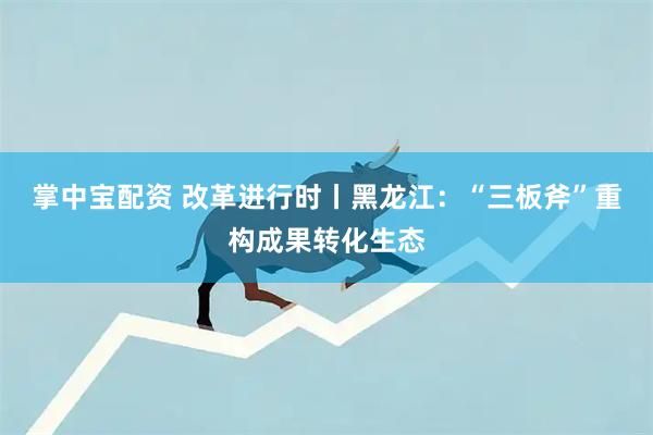掌中宝配资 改革进行时丨黑龙江：“三板斧”重构成果转化生态