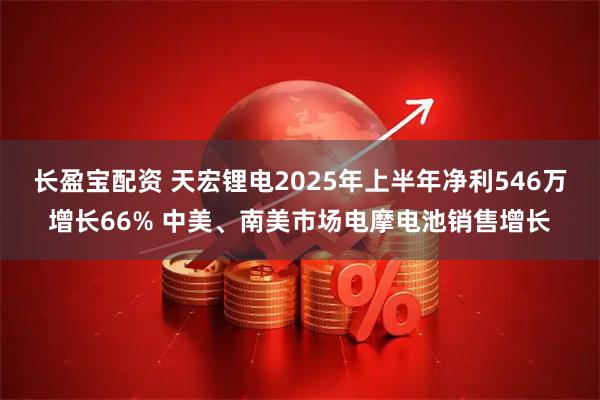 长盈宝配资 天宏锂电2025年上半年净利546万增长66% 中美、南美市场电摩电池销售增长