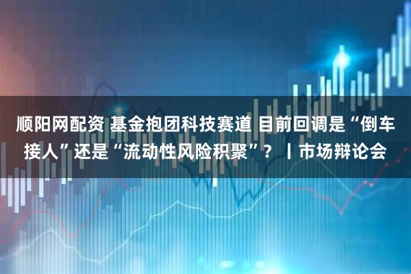顺阳网配资 基金抱团科技赛道 目前回调是“倒车接人”还是“流动性风险积聚”？丨市场辩论会