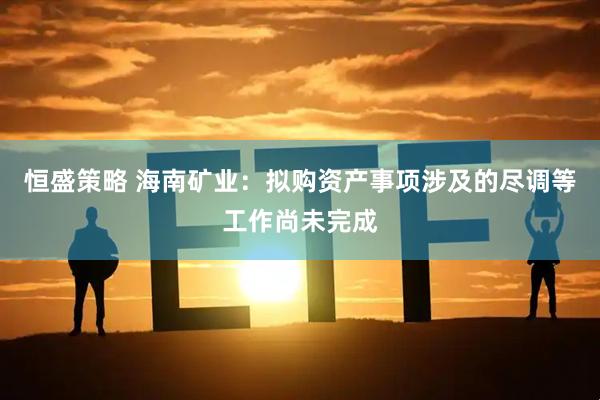 恒盛策略 海南矿业：拟购资产事项涉及的尽调等工作尚未完成