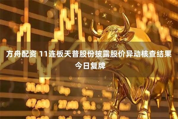 方舟配资 11连板天普股份披露股价异动核查结果 今日复牌