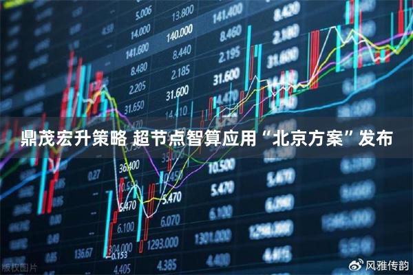 鼎茂宏升策略 超节点智算应用“北京方案”发布
